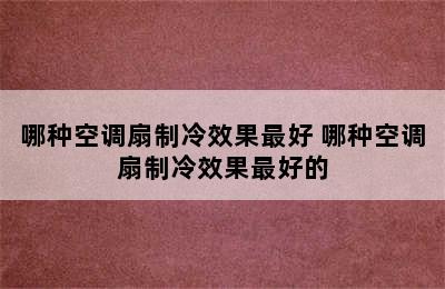 哪种空调扇制冷效果最好 哪种空调扇制冷效果最好的